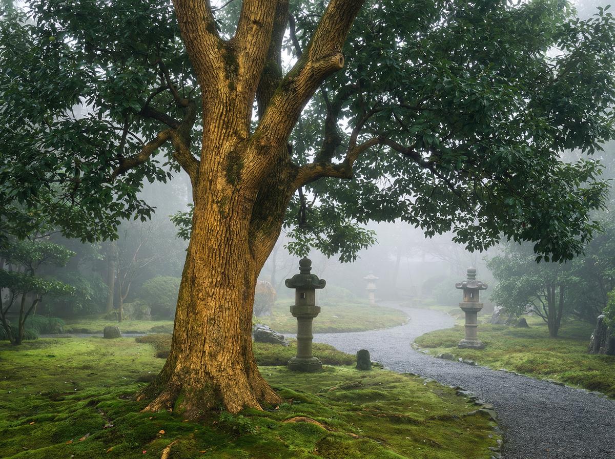 麻豆传媒楠木视频